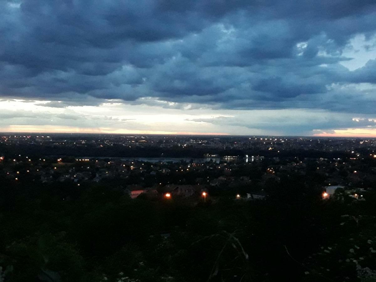 Just Nature Novi Sad Luaran gambar